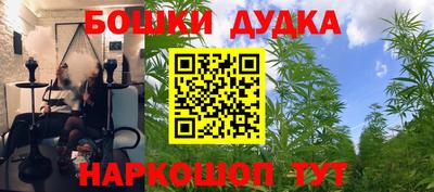МДПВ Славгород