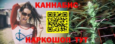 гидропоника Сланцы
