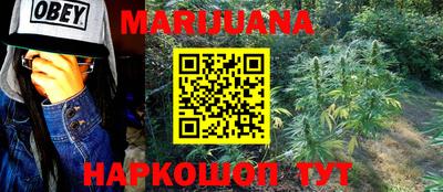 гидропоника Сланцы