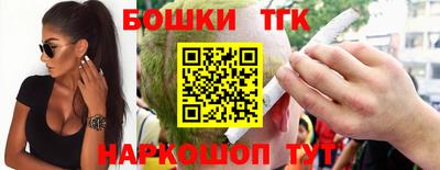 МДПВ Славгород