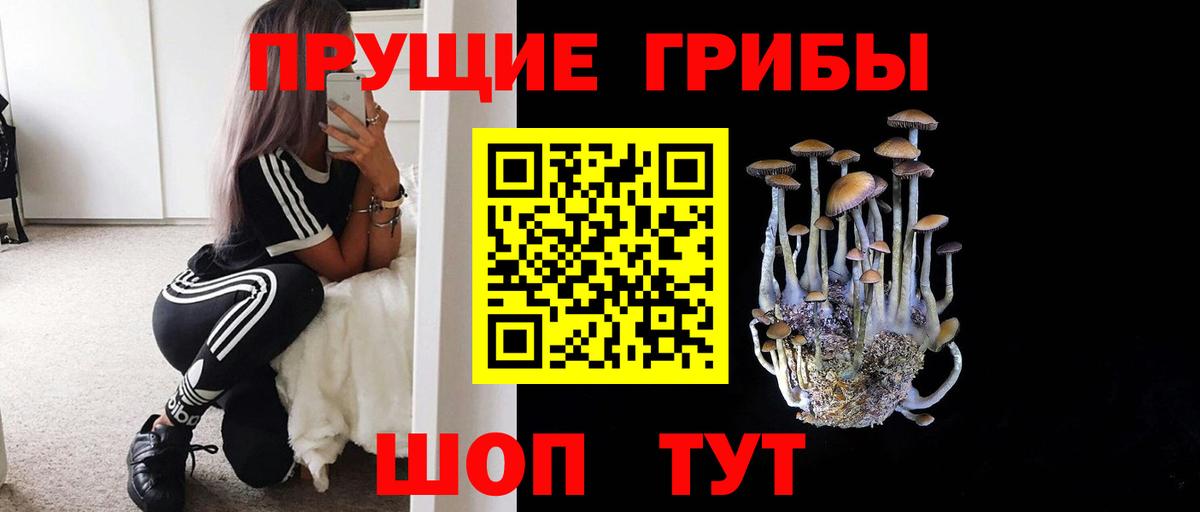 Галлюциногенные грибы Cubensis  Вход с VPN  Протвино  Псилоцибиновые грибы Psilocybe 