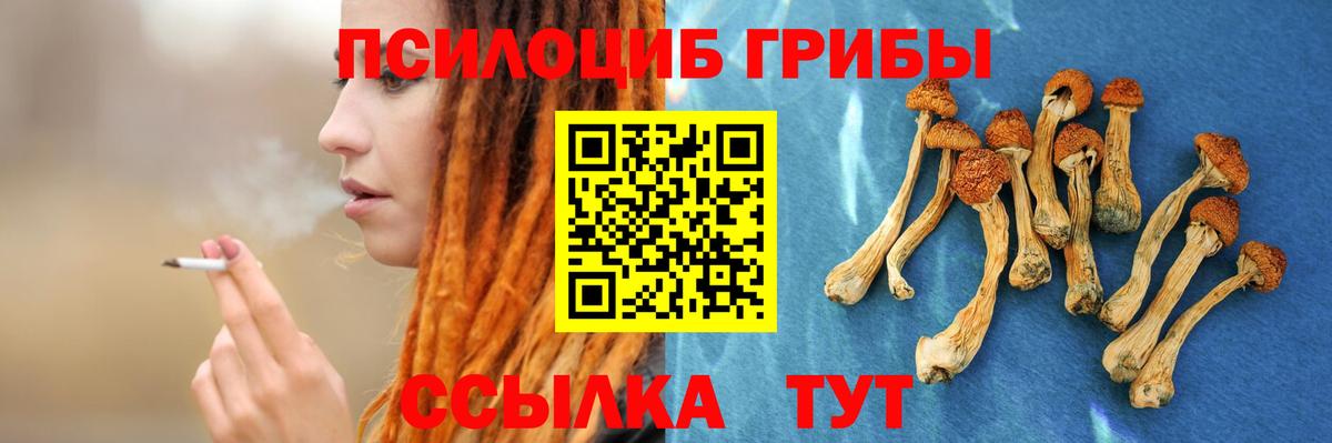 Галлюциногенные грибы Cubensis Протвино